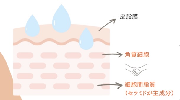 エリサ　化粧水　自然派　ナチュラル　オーガニック　アルコールフリー　サウナ　温泉